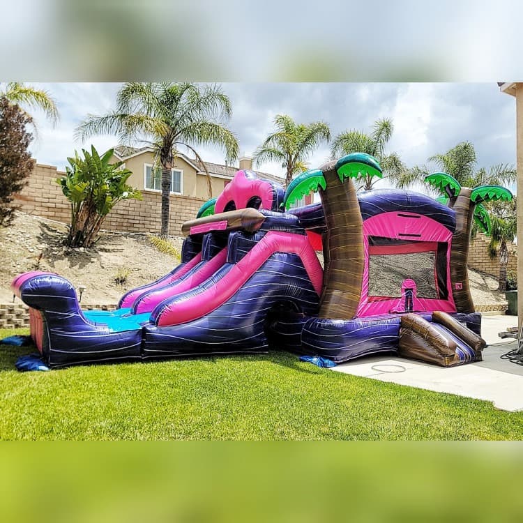 A Party Paradise bounce house combo rental in the High Desert