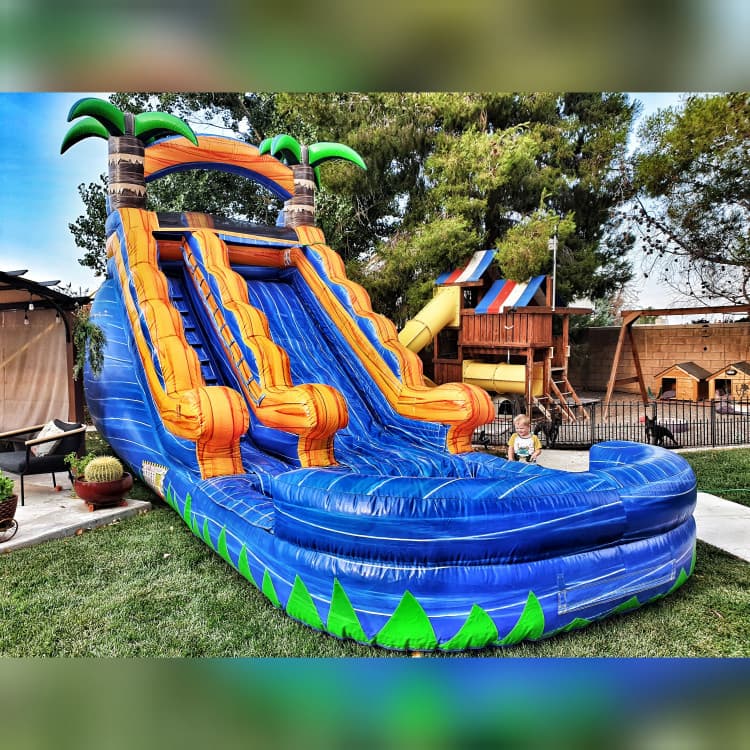 15ft Tropical Oasis water slide rental