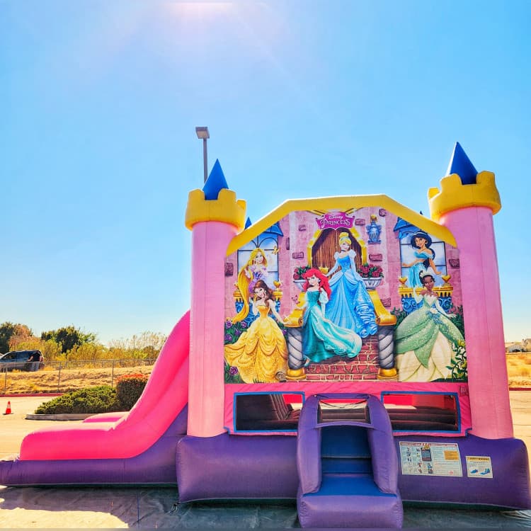 Princess Combo bounce house with slide