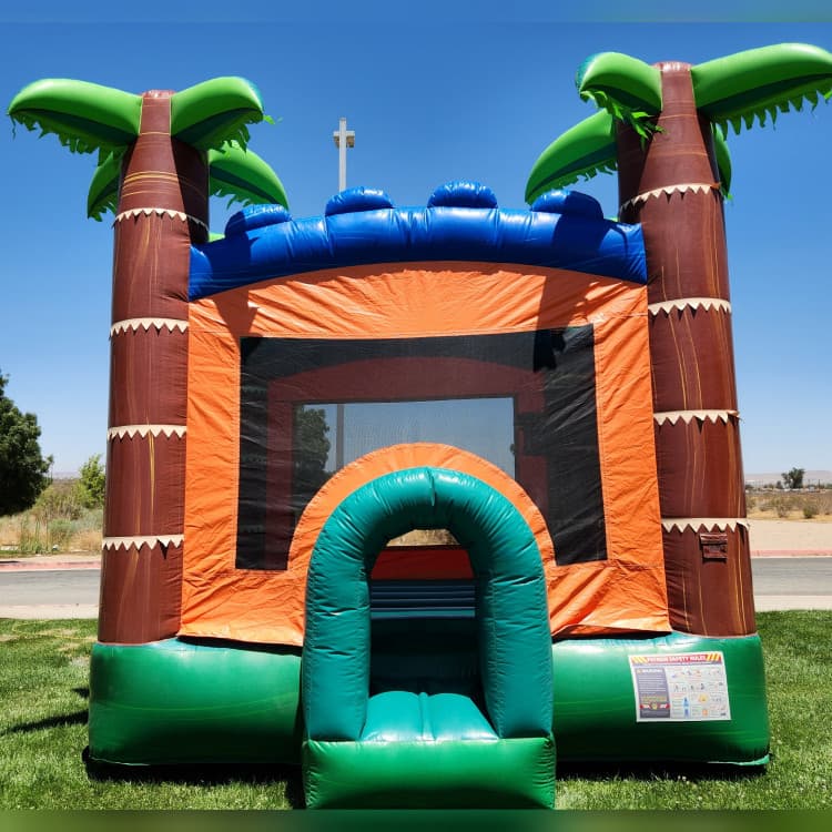 Tropical Jumper bounce house combo
