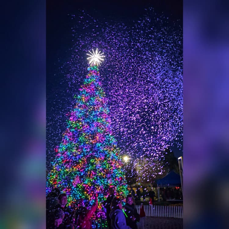 Artificial snow effect rental for events